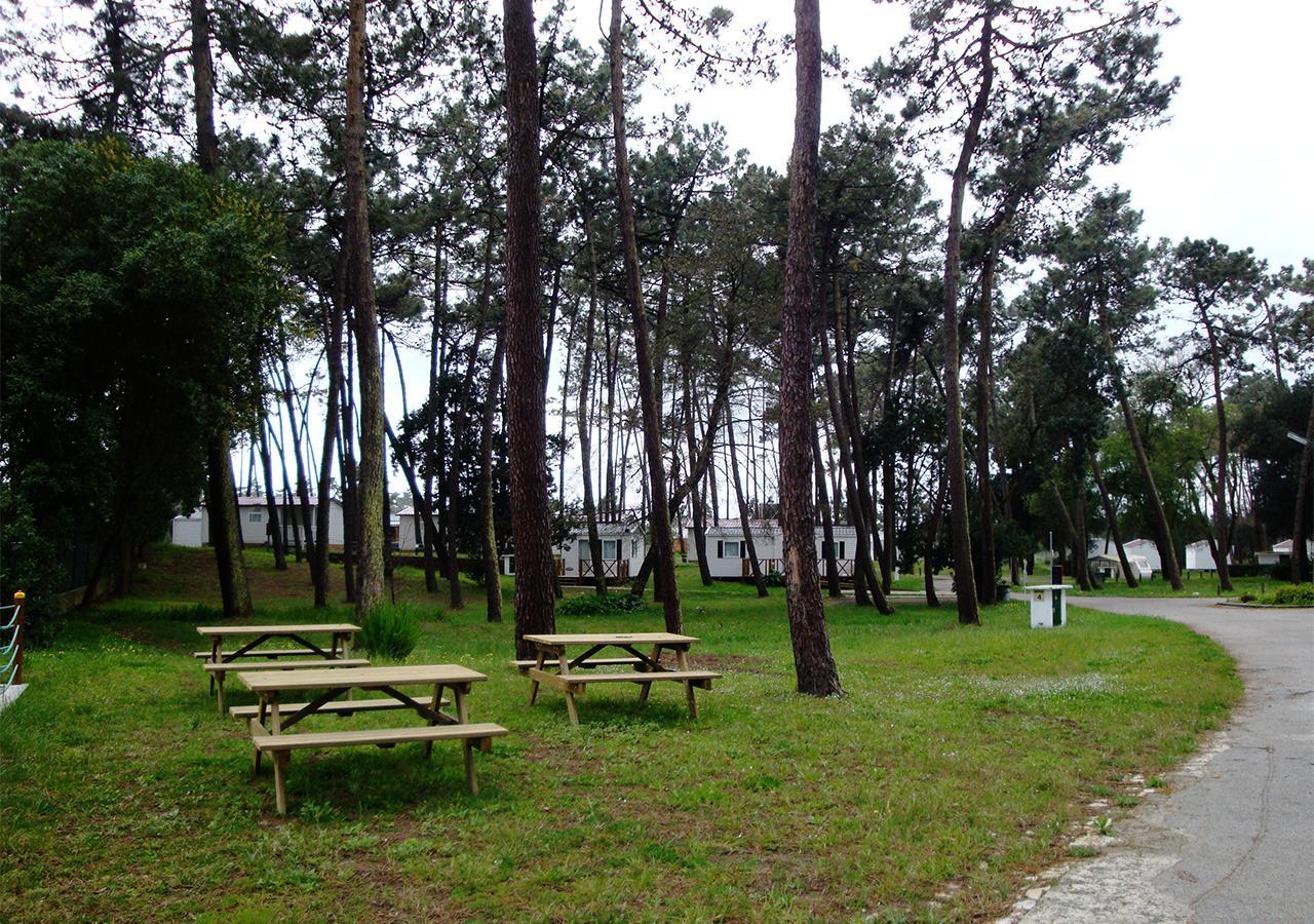 Parque De Campismo Orbitur Sao Jacinto酒店 外观 照片